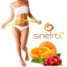 Sinetrol® EXP 450mg Pote 60 Cápsulas